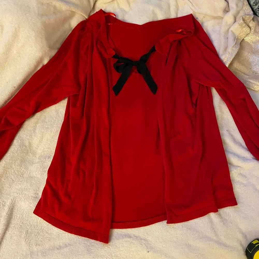 Lane Bryant sweater 22/24